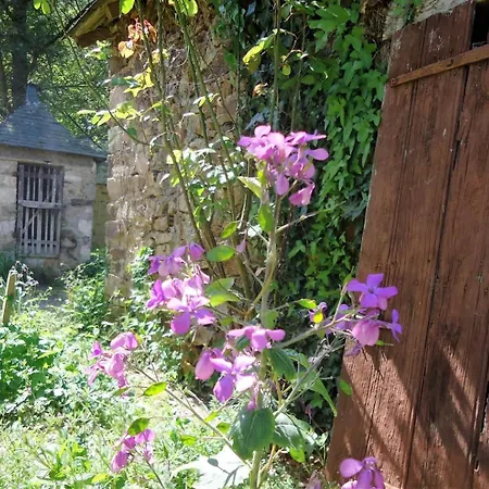 Le Logis De Maisonneuve 度假居 Ruillé-Froid-Fonds