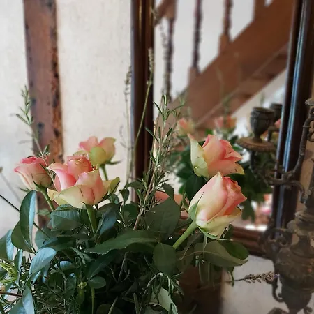 Le Logis De Maisonneuve 度假居 *