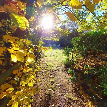 Le Logis De Maisonneuve *