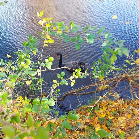 Le Logis De Maisonneuve Ruillé-Froid-Fonds
