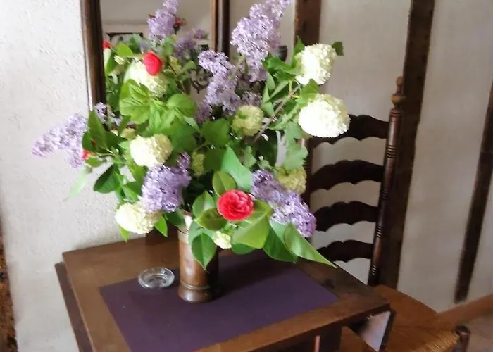 別荘 Le Logis De Maisonneuve *