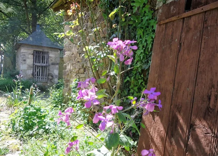 Le Logis De Maisonneuve 別荘 Ruillé-Froid-Fonds