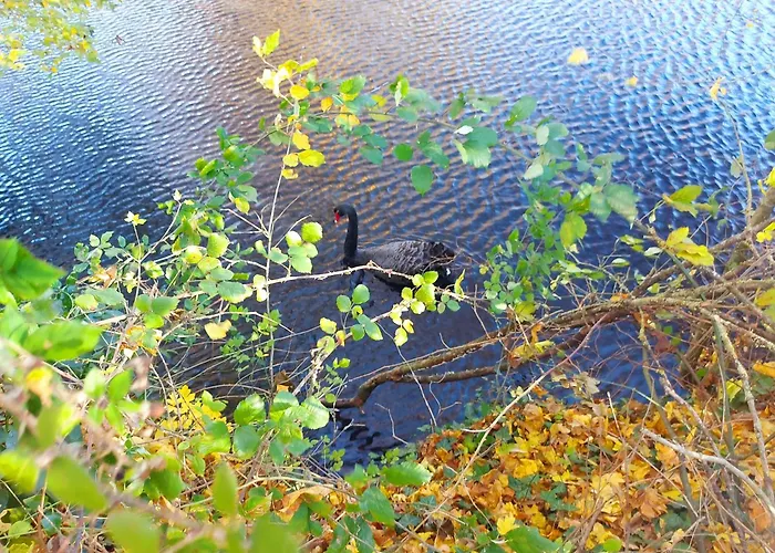 Le Logis De Maisonneuve Ruillé-Froid-Fonds